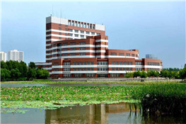 食品廠10噸燃氣鍋爐案例